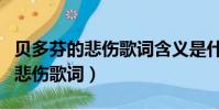 貝多芬的悲傷歌詞含義是什么意思(貝多芬的悲傷歌詞)