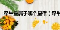 牽牛星屬于哪個(gè)星宿(牽牛星在哪個(gè)星座)