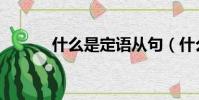 什么是定語從句(什么是定語)