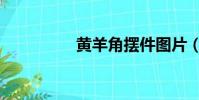 黃羊角擺件圖片(黃羊)