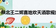 陜北王二妮喜地歡天酒歌視頻(陜北王二妮)