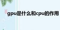 gpu是什么和cpu的作用(cpu的作用)