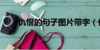 仇恨的句子圖片帶字(仇恨的句子)