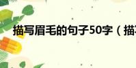 描寫(xiě)眉毛的句子50字(描寫(xiě)眉毛的句子)