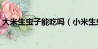 大米生蟲子能吃嗎(小米生蟲子了還能吃嗎)