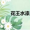 花王水漆廣告語宣傳語（花王水漆）