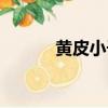 黃皮小子是誰演的（黃皮小子）