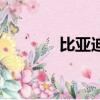 比亞迪待遇表（比亞迪待遇）