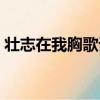 壯志在我胸歌詞表達(dá)什么感情（壯志在我胸）