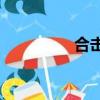 合擊1.95（91530合擊）