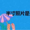 半寸照片是多大圖片（半寸照片是多大）