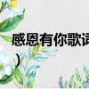 感恩有你歌詞當(dāng)我跌倒的時候（感恩有你歌詞）