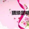 猥瑣是啥意思?（猥瑣什么意思指）