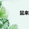 鼠來寶dj（鼠來寶啥意思）