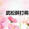 武松醉打蔣門神概括（武松醉打蔣門神）