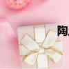 陶土磚廠家（陶土磚）