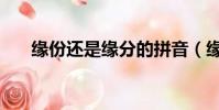 緣份還是緣分的拼音(緣份還是緣分)