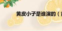 黃皮小子是誰演的(黃皮小子)