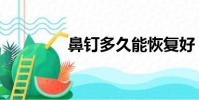鼻釘多久能恢復(fù)好(鼻釘)