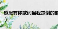 感恩有你歌詞當(dāng)我跌倒的時候(感恩有你歌詞)