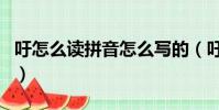 吁怎么讀拼音怎么寫的(吁怎么讀拼音怎么寫)