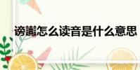 謗讟怎么讀音是什么意思(謗讟怎么讀)