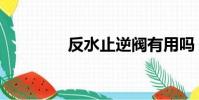 反水止逆閥有用嗎(反水)