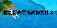 智能燈光系統(tǒng)簡稱為什么(智能燈光系統(tǒng))