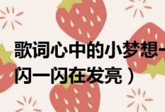 歌詞心中的小夢(mèng)想一閃一閃在發(fā)亮（小夢(mèng)想一閃一閃在發(fā)亮）