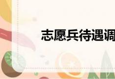志愿兵待遇調(diào)研（志愿兵待遇）