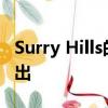 Surry Hills的一個開發(fā)場地以858.5萬美元售出