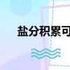 鹽分積累可能是特應性皮炎的一個因素
