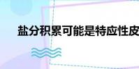 鹽分積累可能是特應性皮炎的一個因素