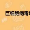 巨細胞病毒感染擴大了環(huán)境過敏原的范圍