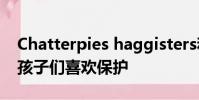 Chatterpies haggisters和ninuts可以幫助孩子們喜歡保護