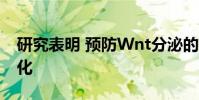 研究表明 預(yù)防Wnt分泌的藥物可減輕腎纖維化
