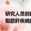 研究人員創(chuàng)建3D肝臟模型以改善對非酒精性脂肪肝疾病的診斷
