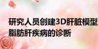 研究人員創(chuàng)建3D肝臟模型以改善對非酒精性脂肪肝疾病的診斷